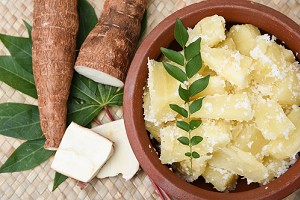 Cassava – does it contain sugar?